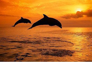 《恐怖巧克力工厂》距离发售还早 还需要时间开发